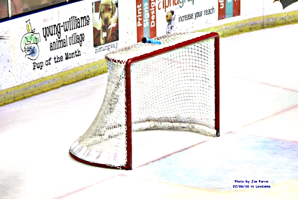 Empty Net