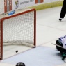 Sedlak scores