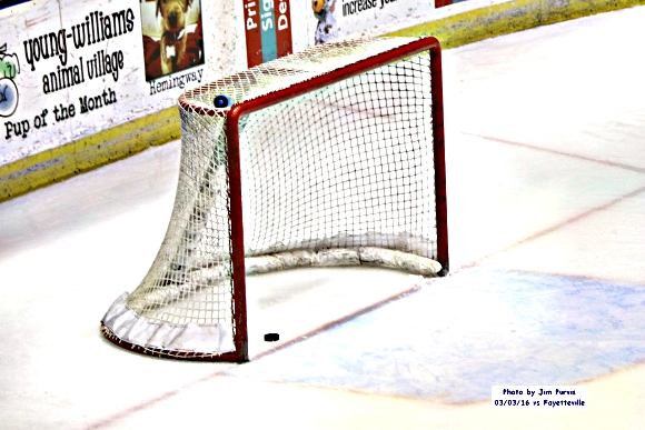 Empty Net Goal by LaRue