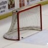Empty Net Goal by LaRue